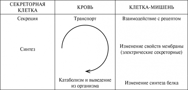 Иллюстрация к книге — Стой, кто ведет? Биология поведения человека и других зверей [i_023.jpg]