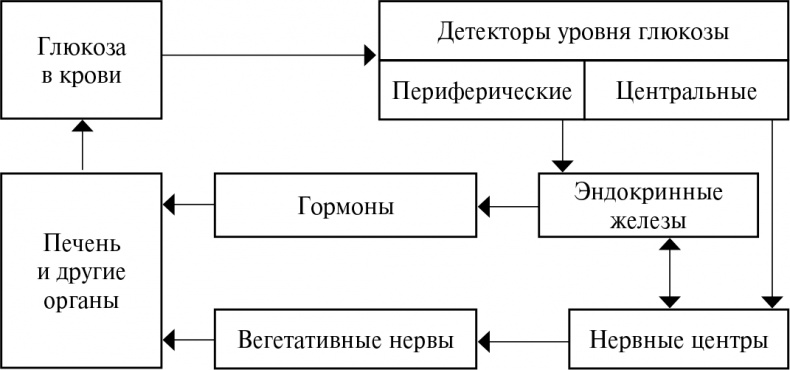 Иллюстрация к книге — Стой, кто ведет? Биология поведения человека и других зверей [i_027.jpg]