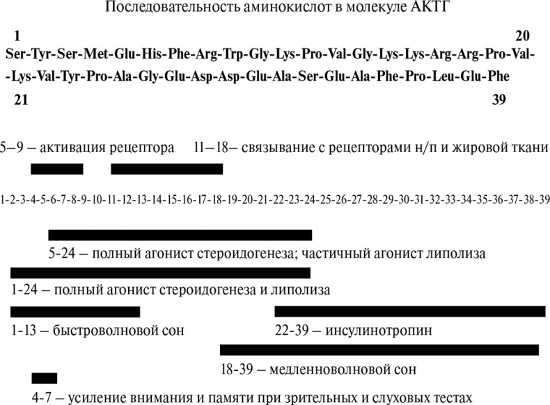 Иллюстрация к книге — Стой, кто ведет? Биология поведения человека и других зверей [i_069.jpg]