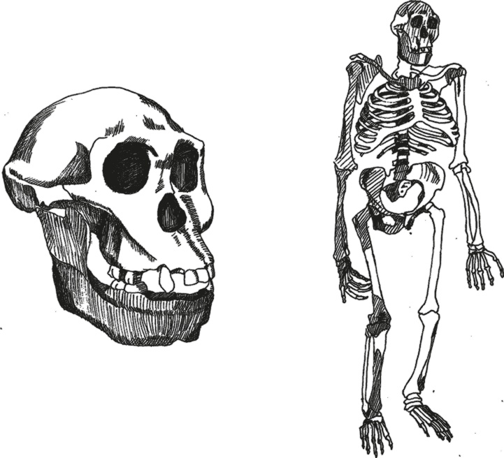 Иллюстрация к книге — Достающее звено. Книга 2. Люди [i_016.jpg]