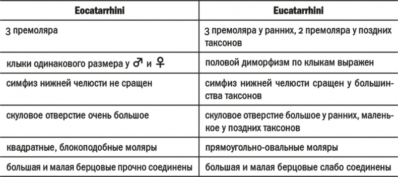 Иллюстрация к книге — Достающее звено. Книга 2. Люди [i_050.jpg]
