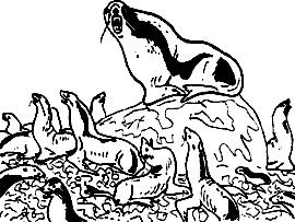 Иллюстрация к книге — Непослушное дитя биосферы. Беседы о поведении человека в компании птиц, зверей и детей [c06p01.jpg]