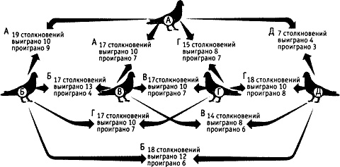 Иллюстрация к книге — Непослушное дитя биосферы. Беседы о поведении человека в компании птиц, зверей и детей [c07p16.jpg]