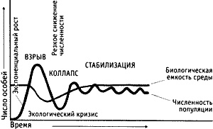 Иллюстрация к книге — Непослушное дитя биосферы. Беседы о поведении человека в компании птиц, зверей и детей [c08p01.jpg]