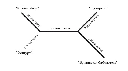 Иллюстрация к книге — Рассказ предка. Паломничество к истокам жизни [i_016.jpg]