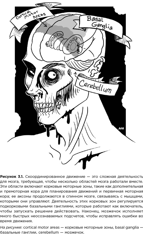 Иллюстрация к книге — Мозг зомби. Научный подход к поведению ходячих мертвецов [i_009.jpg]
