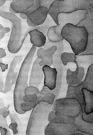 Иллюстрация к книге — Энергия, секс, самоубийство. Митохондрии и смысл жизни [i_007.jpg]