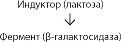 Иллюстрация к книге — Закон &quot;джунглей&quot;. В поисках формулы жизни [_15.jpg]