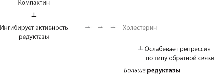 Иллюстрация к книге — Закон &quot;джунглей&quot;. В поисках формулы жизни [_24.jpg]