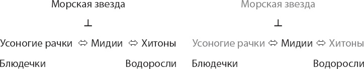 Иллюстрация к книге — Закон &quot;джунглей&quot;. В поисках формулы жизни [_33.jpg]