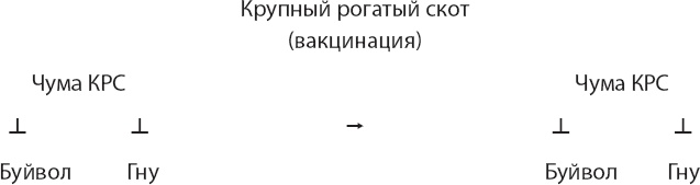 Иллюстрация к книге — Закон &quot;джунглей&quot;. В поисках формулы жизни [_41.jpg]