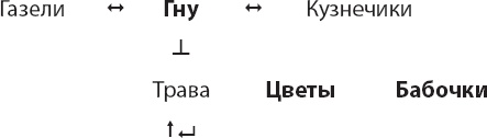 Иллюстрация к книге — Закон &quot;джунглей&quot;. В поисках формулы жизни [_44.jpg]