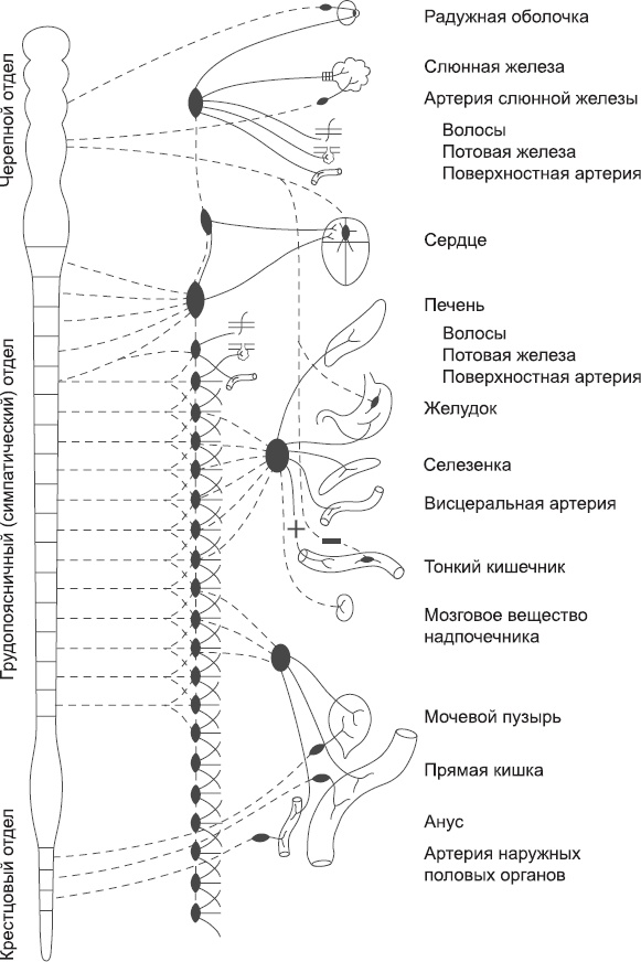 Иллюстрация к книге — Закон &quot;джунглей&quot;. В поисках формулы жизни [_5.jpg]