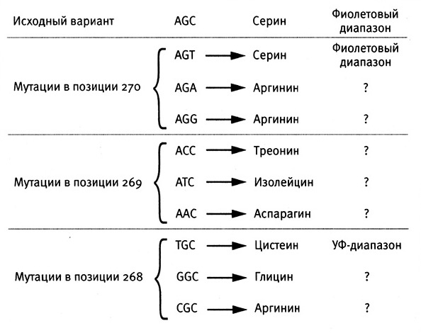 Иллюстрация к книге — Приспособиться и выжить! ДНК как летопись эволюции [i_055.jpg]