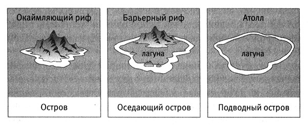 Иллюстрация к книге — Приспособиться и выжить! ДНК как летопись эволюции [i_063.jpg]