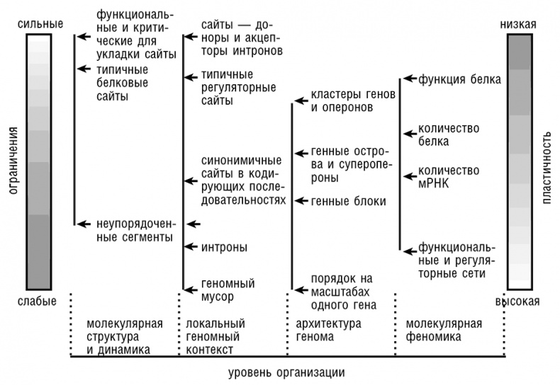 Иллюстрация к книге — Логика случая. О природе и происхождении биологической эволюции [i_017.jpg]