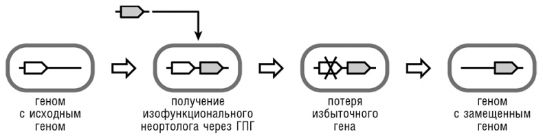 Иллюстрация к книге — Логика случая. О природе и происхождении биологической эволюции [i_020.jpg]