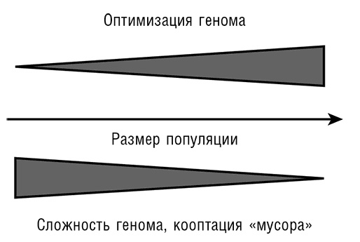 Иллюстрация к книге — Логика случая. О природе и происхождении биологической эволюции [i_076.jpg]