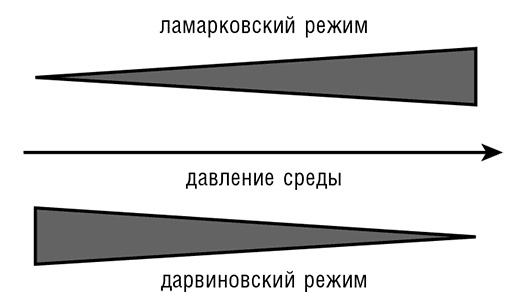 Иллюстрация к книге — Логика случая. О природе и происхождении биологической эволюции [i_081.jpg]