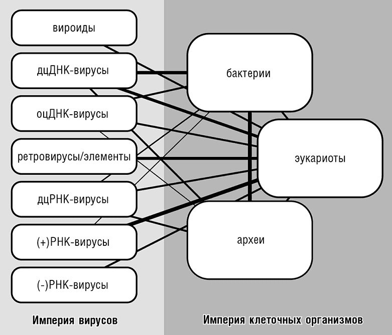 Иллюстрация к книге — Логика случая. О природе и происхождении биологической эволюции [i_105.jpg]