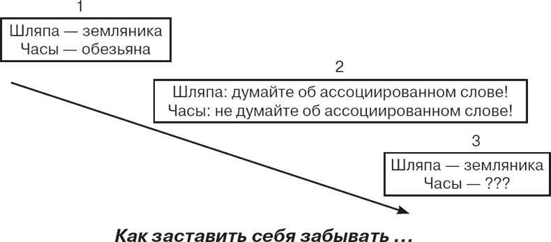 Иллюстрация к книге — Почему девочки не хуже мальчиков разбираются в математике [i_001.jpg]