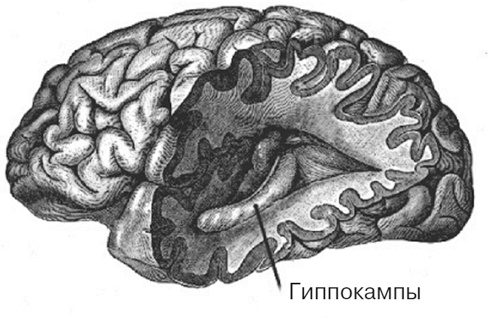 Иллюстрация к книге — Почему девочки не хуже мальчиков разбираются в математике [i_002.jpg]