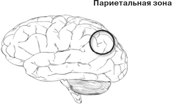 Иллюстрация к книге — Почему девочки не хуже мальчиков разбираются в математике [i_007.jpg]