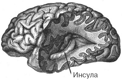 Иллюстрация к книге — Почему девочки не хуже мальчиков разбираются в математике [i_015.jpg]