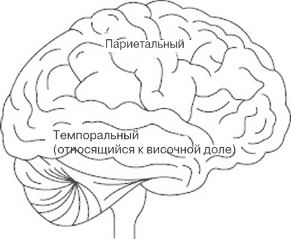 Иллюстрация к книге — Почему девочки не хуже мальчиков разбираются в математике [i_016.jpg]