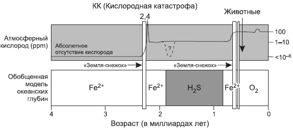 Иллюстрация к книге — Новая история происхождения жизни на Земле [i_008.jpg]