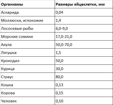 Иллюстрация к книге — Темы школьного курса. Размножение организмов. Деление клеток. Способы размножения организмов. Онтогенез [i_015.jpg]