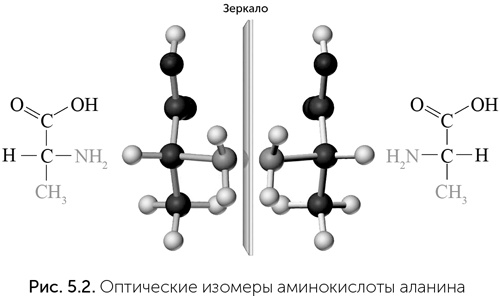 Иллюстрация к книге — Происхождение жизни. От туманности до клетки [i_036.jpg]