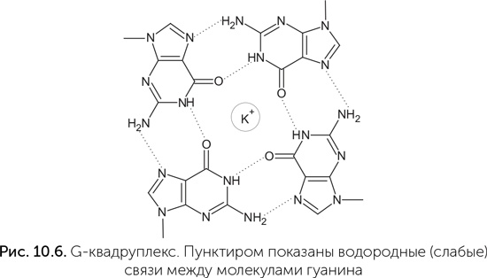 Иллюстрация к книге — Происхождение жизни. От туманности до клетки [i_076.jpg]