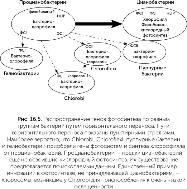 Иллюстрация к книге — Происхождение жизни. От туманности до клетки [i_139.jpg]