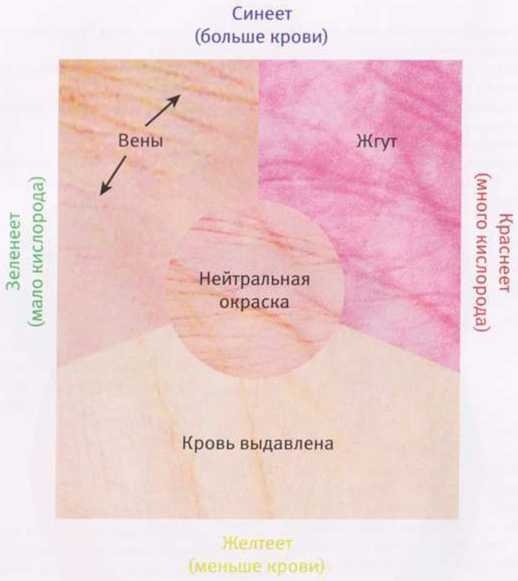 Иллюстрация к книге — Революция в зрении. Что, как и почему мы видим на самом деле [img_6.jpg]