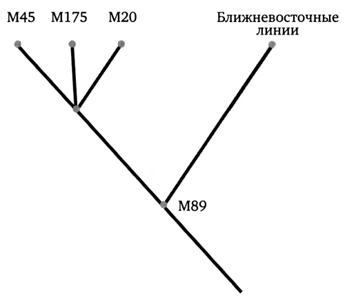 Иллюстрация к книге — Генетическая одиссея человека [i_010.jpg]