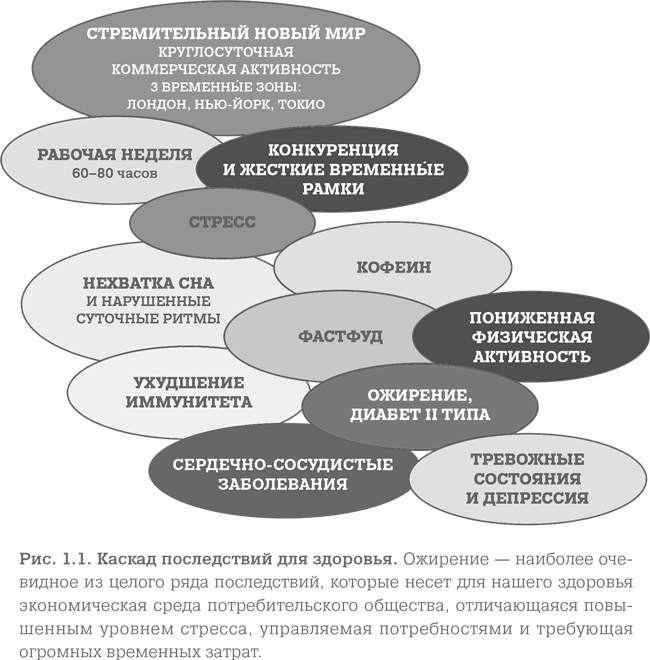 Иллюстрация к книге — Мозг. Тонкая настройка. Наша жизнь с точки зрения нейронауки [i_002.jpg]