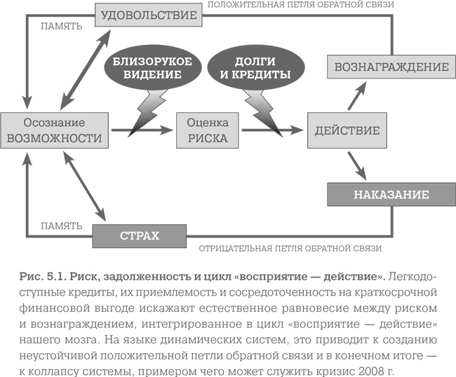 Иллюстрация к книге — Мозг. Тонкая настройка. Наша жизнь с точки зрения нейронауки [i_008.jpg]