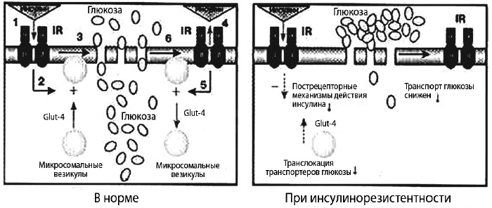 Пора лечиться правильно. Медицинская энциклопедия