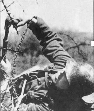 Иллюстрация к книге — Wehrmacht. Сухопутные войска III Рейха [i_010.jpg]