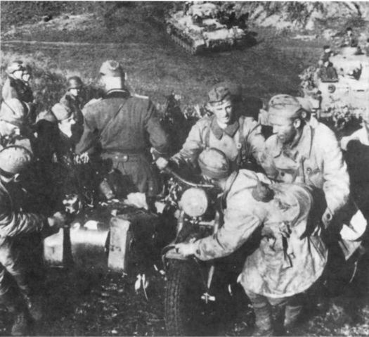 Иллюстрация к книге — Wehrmacht. Сухопутные войска III Рейха [i_053.jpg]