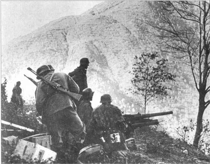 Иллюстрация к книге — Wehrmacht. Сухопутные войска III Рейха [i_205.jpg]