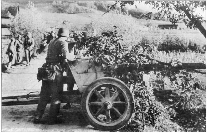 Иллюстрация к книге — Wehrmacht. Сухопутные войска III Рейха [i_213.jpg]