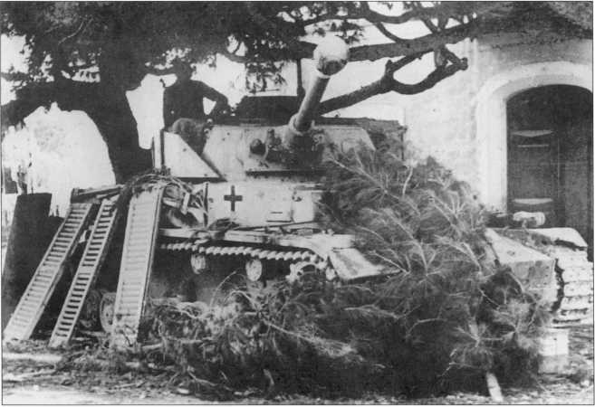 Иллюстрация к книге — Wehrmacht. Сухопутные войска III Рейха [i_215.jpg]