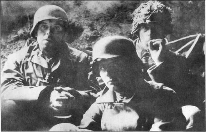 Иллюстрация к книге — Wehrmacht. Сухопутные войска III Рейха [i_226.jpg]