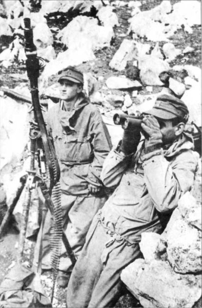 Иллюстрация к книге — Wehrmacht. Сухопутные войска III Рейха [i_229.jpg]