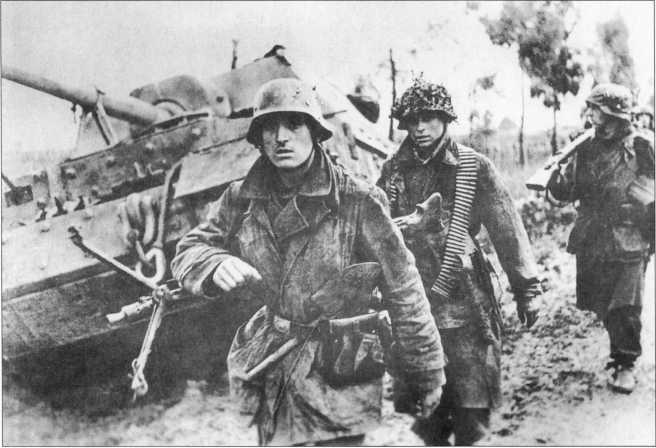 Иллюстрация к книге — Wehrmacht. Сухопутные войска III Рейха [i_238.jpg]