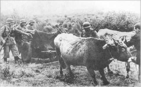 Иллюстрация к книге — Wehrmacht. Сухопутные войска III Рейха [i_243.jpg]
