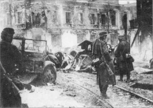 Иллюстрация к книге — Wehrmacht. Сухопутные войска III Рейха [i_245.jpg]