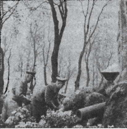 Иллюстрация к книге — Литовские полицейские батальоны. 1941-1945 годы [i_073.jpg]